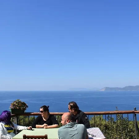 Casa Roja ホームステイ