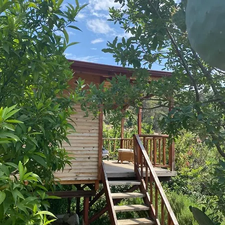 Casa Roja ホームステイ *