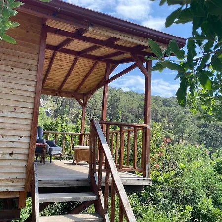 Casa Roja ホームステイ *