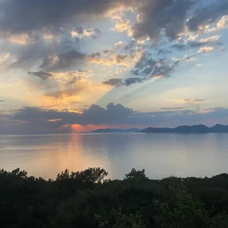 Casa Roja ホームステイ Cedit