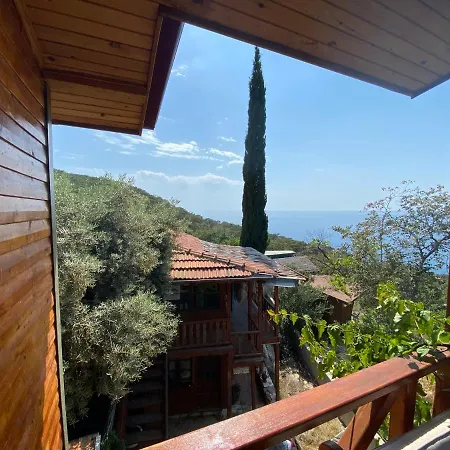 Casa Roja Gazde/Camere de închiriat *