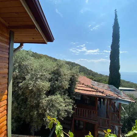 Gazde/Camere de închiriat Casa Roja Cedit