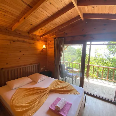 Casa Roja ホームステイ