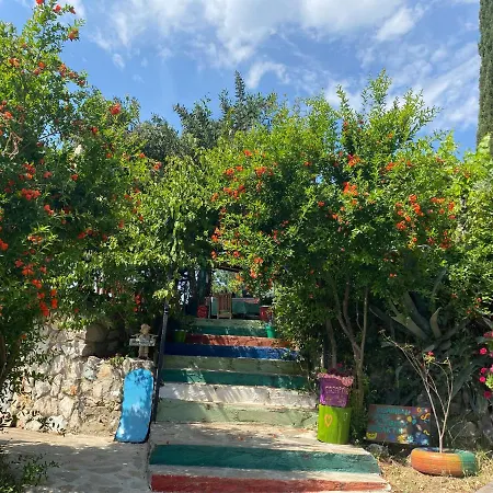 ホームステイ Casa Roja Cedit