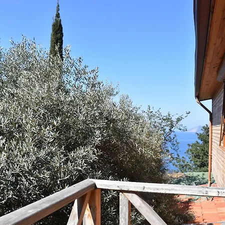 Casa Roja ホームステイ