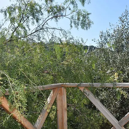 Casa Roja ホームステイ