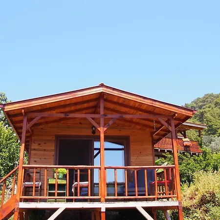 ホームステイ Casa Roja