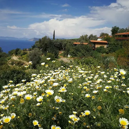 ホームステイ Casa Roja Cedit