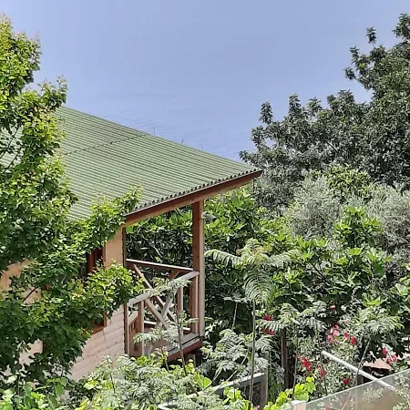 Casa Roja ホームステイ