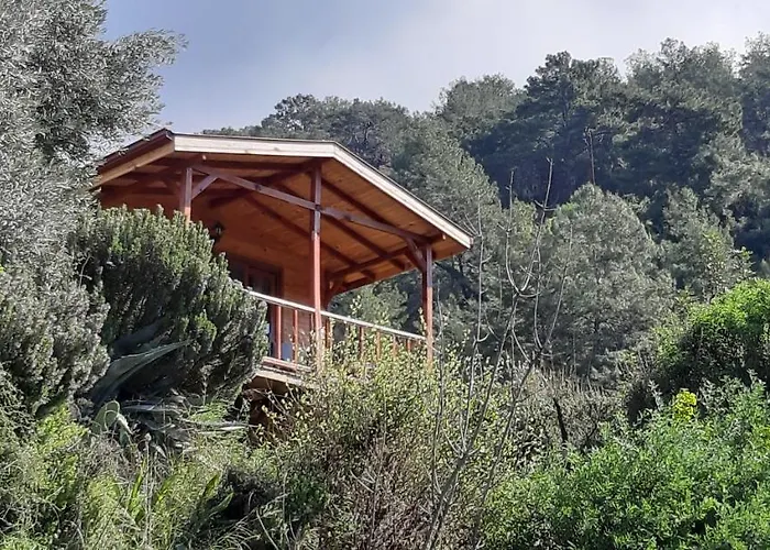 Homestay szállás Casa Roja *