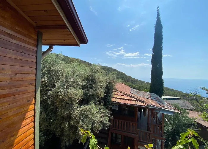 Homestay szállás Casa Roja Cedit