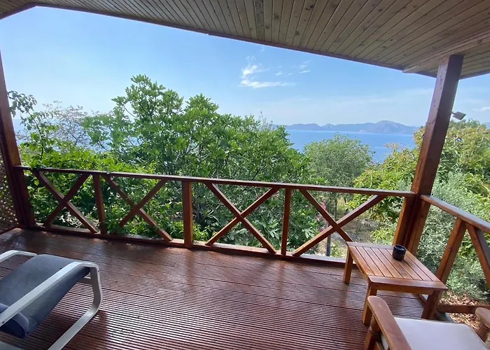 Homestay szállás Casa Roja Cedit