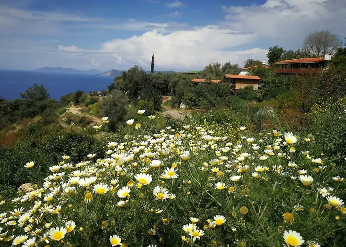 Homestay szállás Casa Roja Cedit
