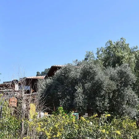 Casa Roja Faralya