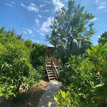 Casa Roja * Faralya