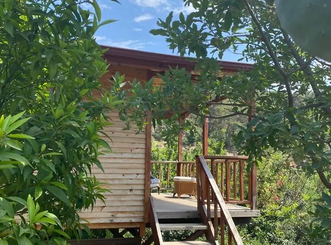 Casa Roja Проживание в семье *