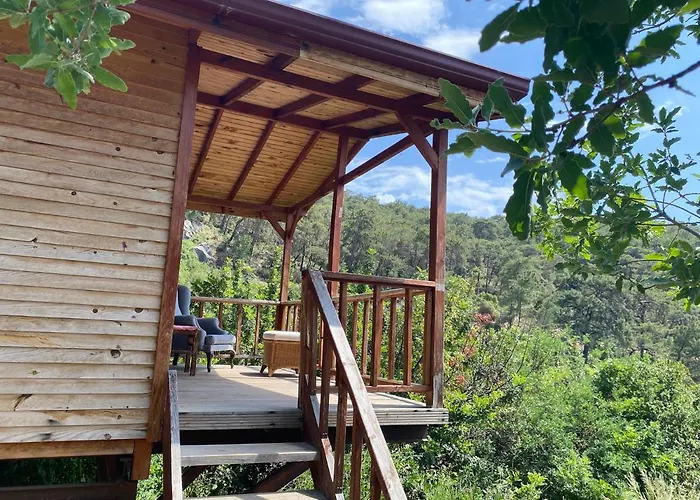 Casa Roja Проживание в семье *