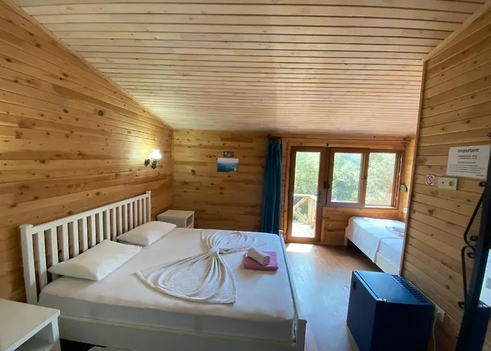 Casa Roja Проживание в семье