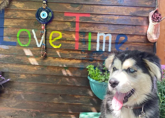 Casa Roja Проживание в семье *