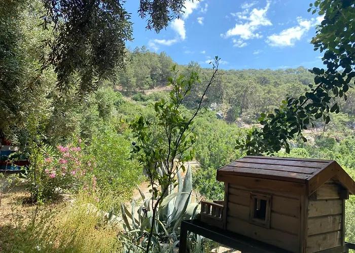 Casa Roja Проживание в семье *