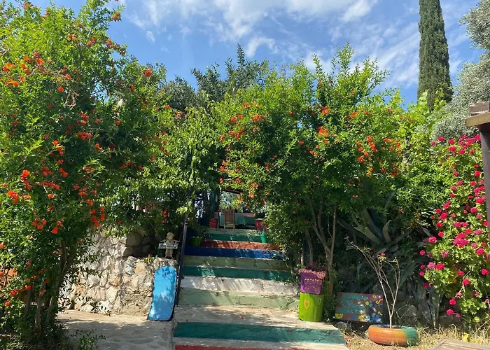 Проживание в семье Casa Roja Cedit