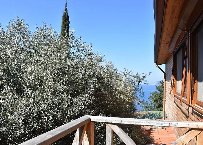 Casa Roja Проживание в семье