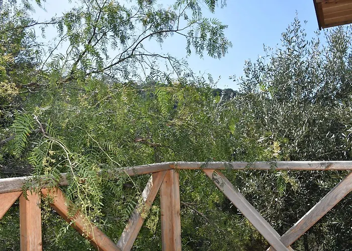 Casa Roja Проживание в семье