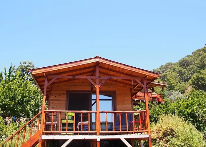 Проживание в семье Casa Roja