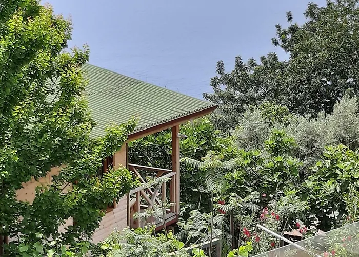 Casa Roja Проживание в семье